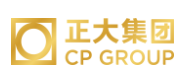 西工正大集团
